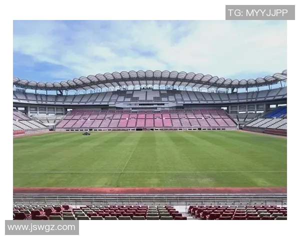 鹿岛鹿角与柔佛对决结果揭晓赛季精彩瞬间回顾